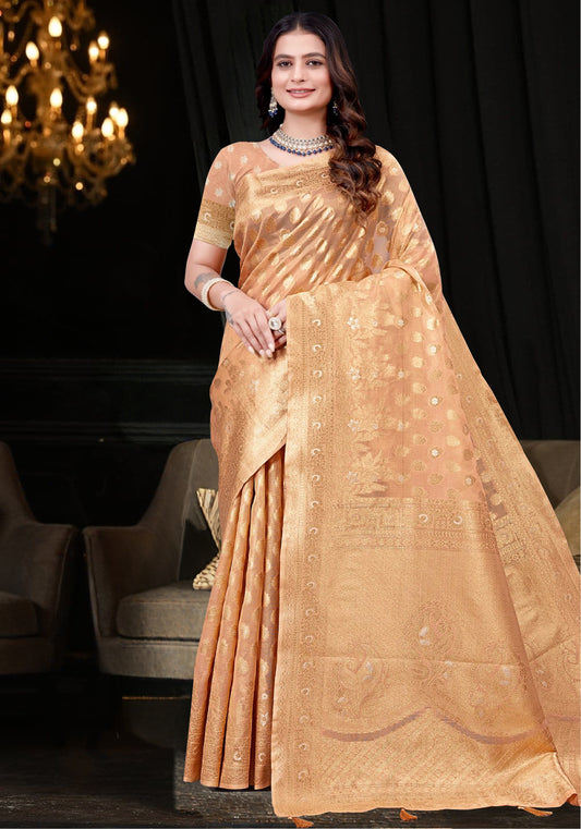 Copper-Golden Tissue Saree